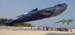 30-meter-blue-whale-in-thailand